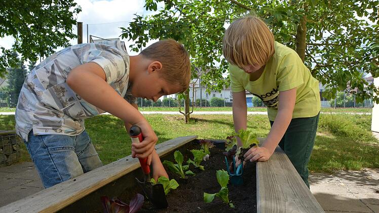 Vor den Ferien bringen die Grundschüler noch einmal ihre Beete in Schuss. Foto: Dagmar Besand
