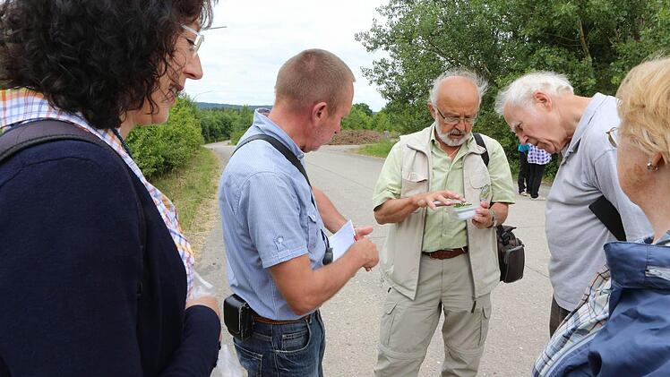 Genau hingeschaut haben die aus ganz Deutschland angereisten N aturexperten.Fotos: Barbara Herbsr, Günther Geilung und Ralf Kestel