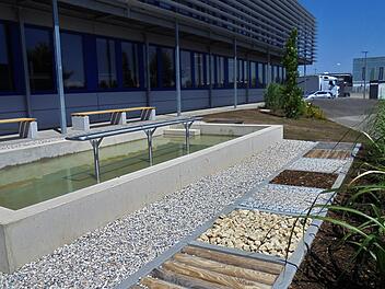 Kneippbecken und Sinnesweg des Höchstadter Unternehmens Baxter fanden hohe Anerkennung beim Wettbewerb "Mehr Grün auf Gewerbeflächen". Foto: Landratsamt