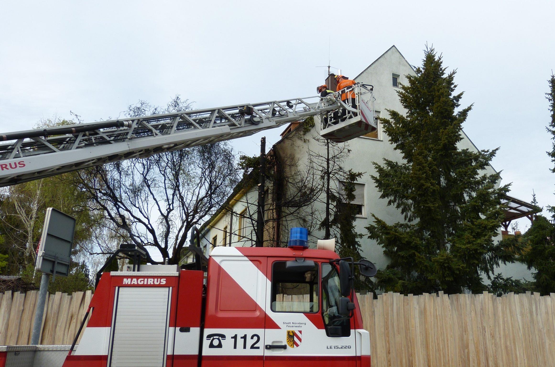 Nürnberg: Gartenhütte und Baum in Flammen - Feuer greift ...
