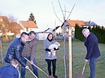 Der erste Geburtsbaum ging an die Familie Mäislein aus Pettstadt.  Foto: Pressestelle Landratsamt Bamberg