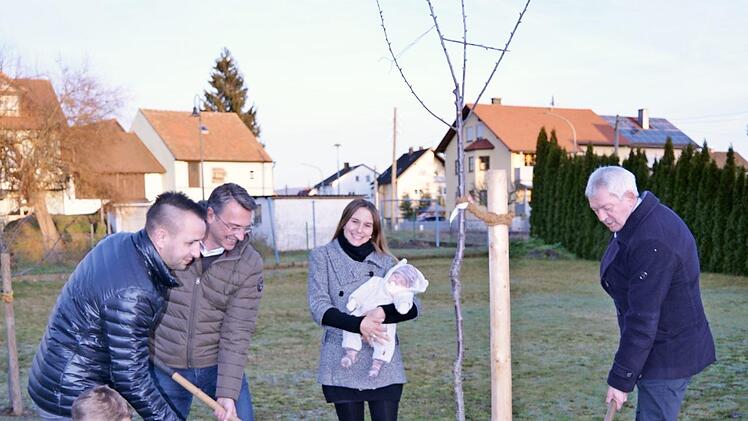 Der erste Geburtsbaum ging an die Familie Mäislein aus Pettstadt.  Foto: Pressestelle Landratsamt Bamberg