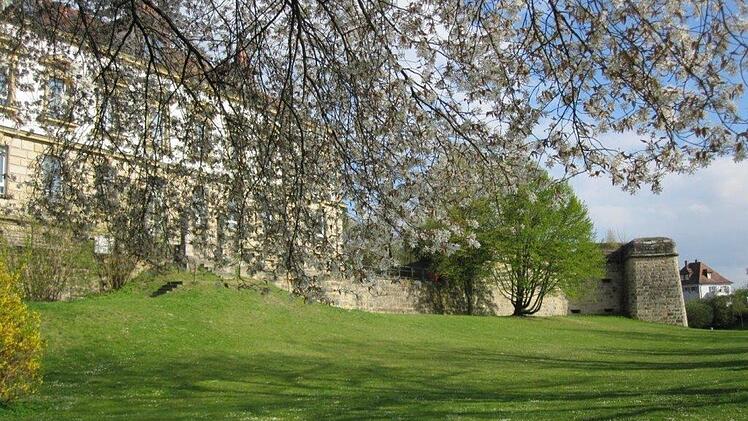 Im Stadtpark soll nun das Festival stattfinden. Foto: Stadt Forchheim