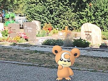 Auf dem städtischen Friedhof wartet dieses bärenähnliche Wesen. Es wartet vor den Grabsteinen, um gefangen zu werden.  Fotos: Michael Busch