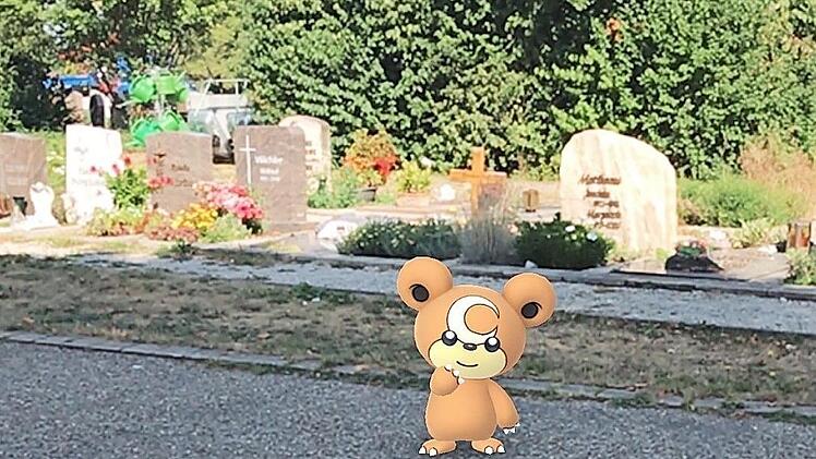 Auf dem städtischen Friedhof wartet dieses bärenähnliche Wesen. Es wartet vor den Grabsteinen, um gefangen zu werden.  Fotos: Michael Busch