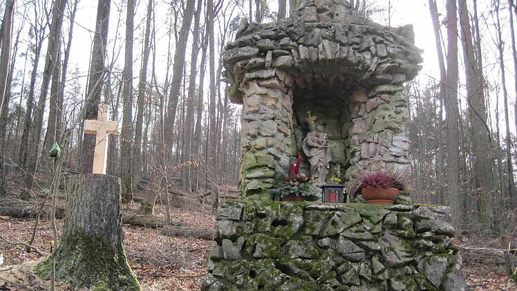 Der seit fünf Jahren in Euerdorf bestehende Forstwirtschaftsplan trägt Früchte. Die Verkäufe aus den Einschlägen (Foto, Flur Bildstock) spülen inzwischen Geld in die Gemeindekasse.  Foto: Bayerische Forstverwaltung