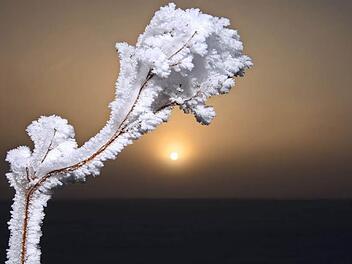 Der M&auml;rz bringt vorerst kein fr&uuml;hlingshaftes Wetter. Auch in den n&auml;chsten Tagen ist immer wieder mit Schneef&auml;llen zu rechnen. Foto: Karl-Josef Hildenbrand/dpa