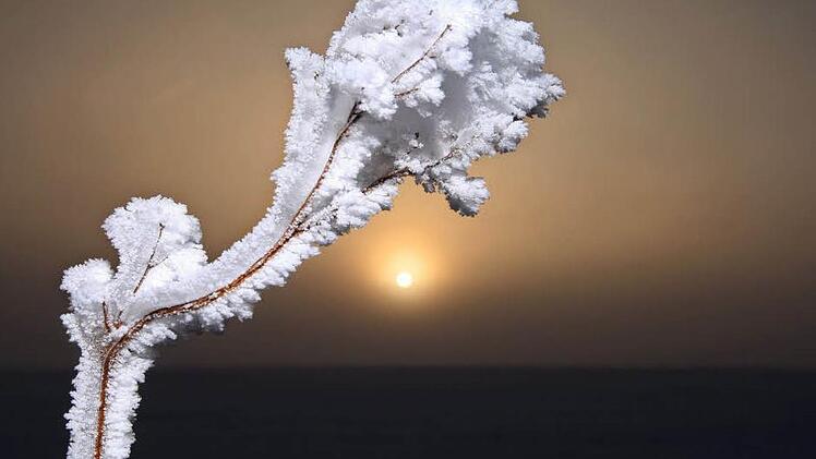 Der M&auml;rz bringt vorerst kein fr&uuml;hlingshaftes Wetter. Auch in den n&auml;chsten Tagen ist immer wieder mit Schneef&auml;llen zu rechnen. Foto: Karl-Josef Hildenbrand/dpa
