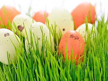 Farbige Eier im selbstgesäten Grün sind eine hübsche Osterdekoration.