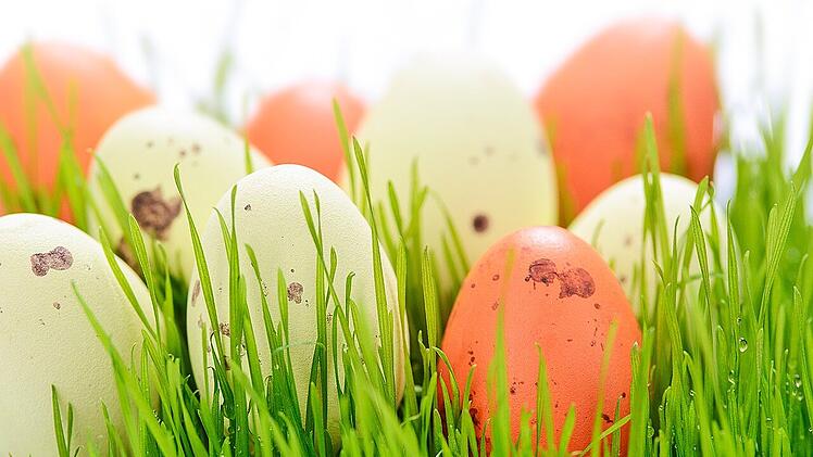 Farbige Eier im selbstgesäten Grün sind eine hübsche Osterdekoration.