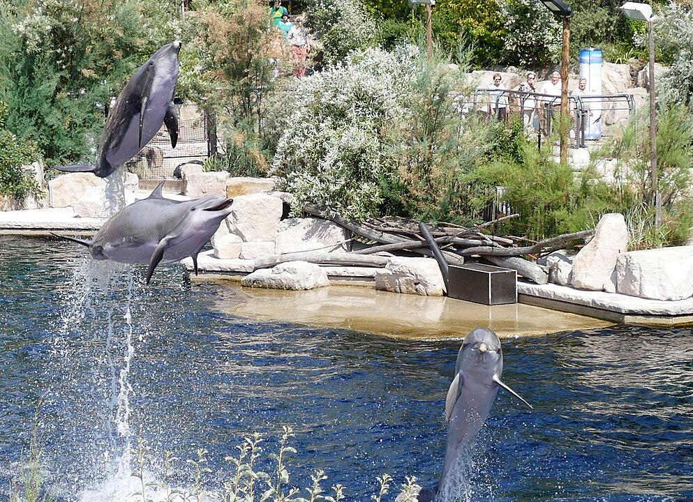 Tiergarten Nürnberg