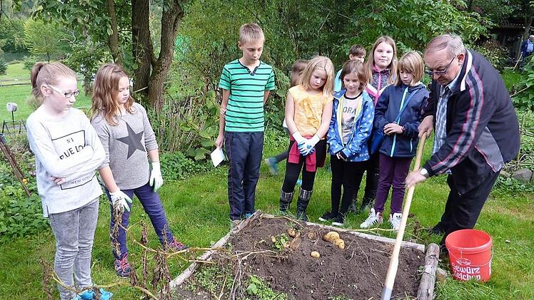 Einen hohen Stellwert nimmt im Gartenbaubezirksverband die Jugendarbeit, so beispielsweise beim Obst- und Gartenbauverein Stockheim-Wolfersdorf, ein. Gerd Fleischmann