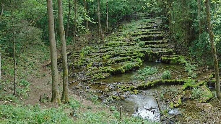Die Sinterstufen bei Weißenohe führen derzeit leider nur wenig Wasser. Schuld an diesem Zustand ist der geringe Niederschlag.  Fotos: Petra Malbrich