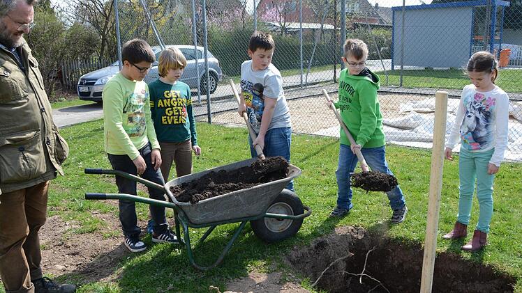 Impressionen vom Obstbaum-Pflanztag an der Grundschule Melkendorf  Foto: Dagmar Besand