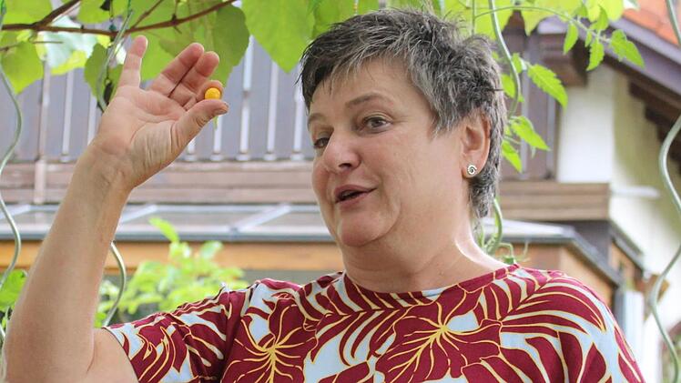Was man nicht glauben mag, demonstriert Helga Dressel: Die Tomate hat eine ins Dutzendfache gehende Erscheinungsform.Markus Häggberg