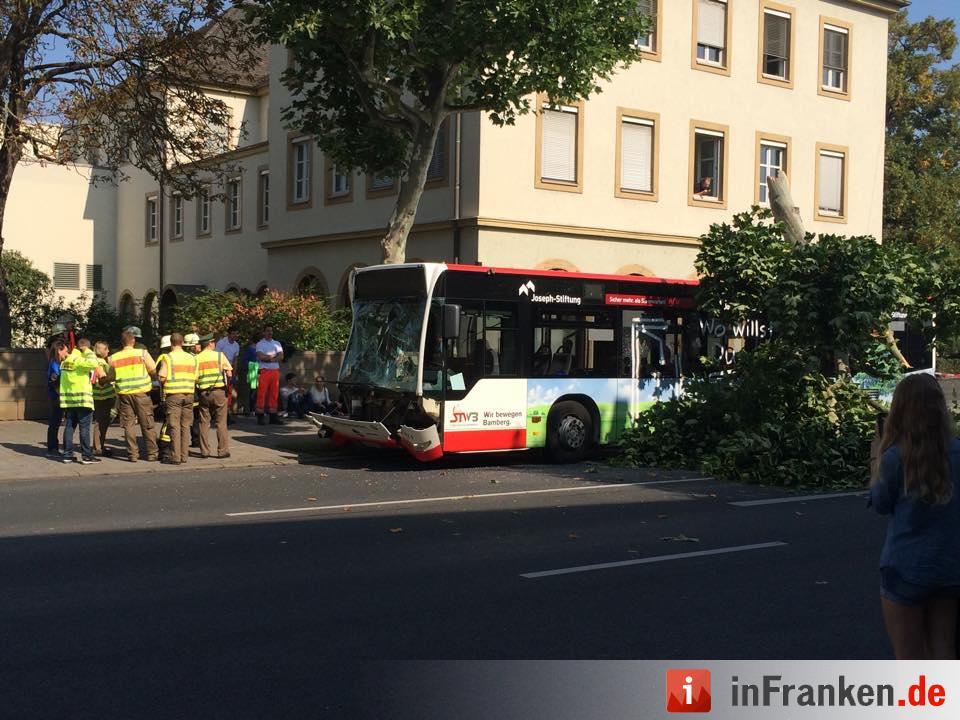 Baum stürzt in Bamberg auf Stadtbus