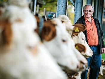 Die Kühe wegzugeben, da denkt Erwin Schwarz momentan überhaupt noch nicht dran - trotz der schlechten Aussichten. Foto: Hendrik Steffens