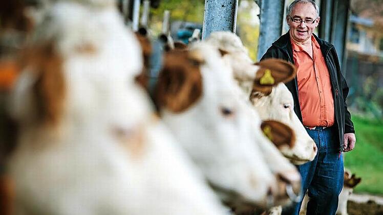 Die Kühe wegzugeben, da denkt Erwin Schwarz momentan überhaupt noch nicht dran - trotz der schlechten Aussichten. Foto: Hendrik Steffens