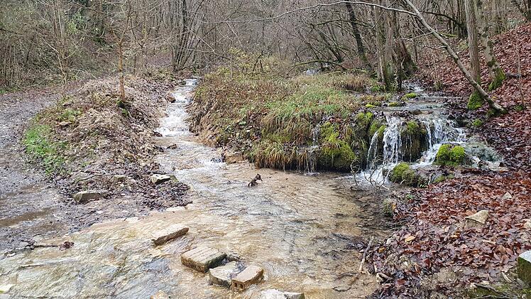 Eingriff am Eggerbach-Der Abschnitt auf der linken Seite wurde vollst&auml;ndig ausgebaggert