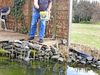 Josef Daum füttert die Kois in seinem großen Gartenteich. Dafür und für die Pflege des Gartens hat er jetzt mehr Zeit als früher.  Foto: Friedwald Schedel