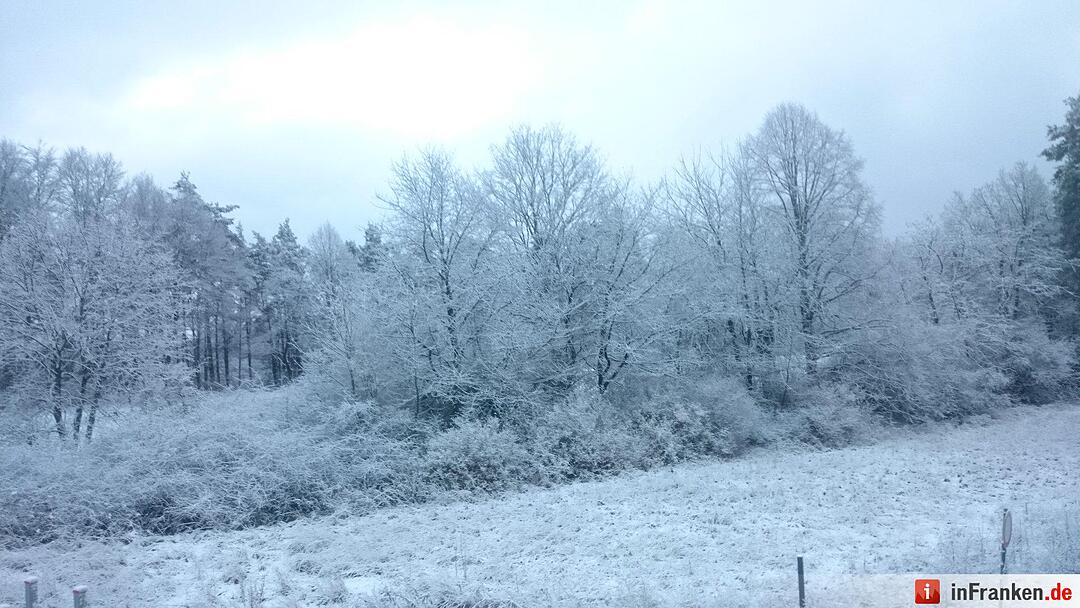 Schnee in Gößweinstein Raum Forchheim Foto: inFrankenPix Ncaroline