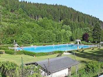 In der Rennsteigregion gibt es nur ein Freibad. Nun stehen im Freibad Ludwigsstadt erhebliche Sanierungen an.  Foto: Archiv