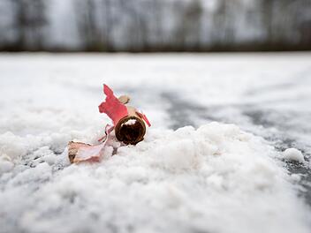 Abgebrannter B&ouml;ller