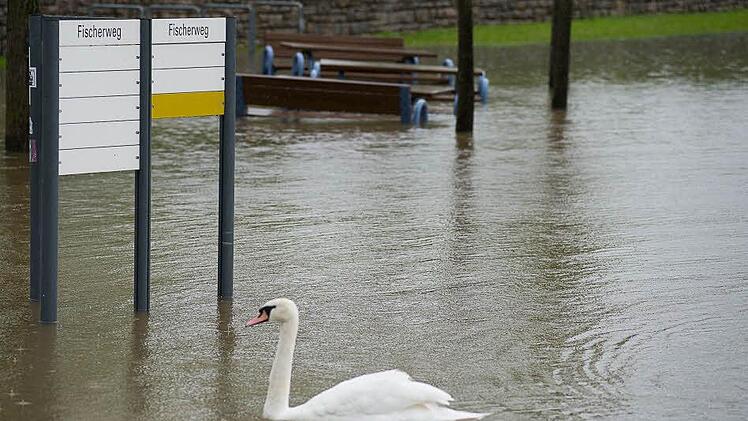Foto: Tobias Köpplinger
