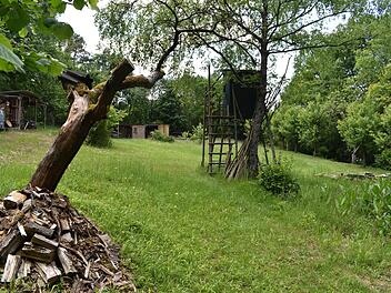 Hier auf der "Schießers Ranch" könnte ab September 2020 der Ramsthaler Waldkindergarten entstehen. Foto: Andreas Lomb