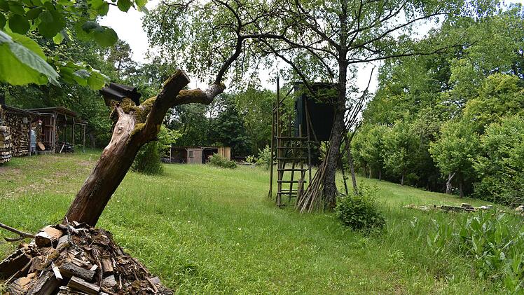 Hier auf der "Schießers Ranch" könnte ab September 2020 der Ramsthaler Waldkindergarten entstehen. Foto: Andreas Lomb