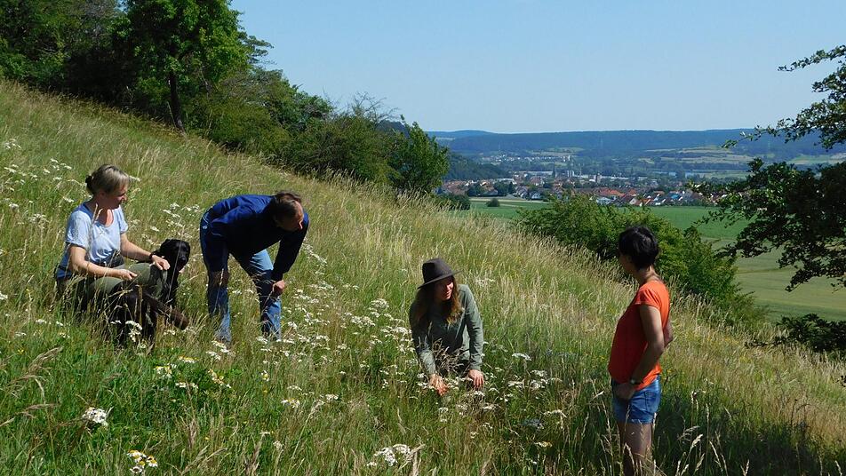 Naturparkrangerin Katja Winter zeigt und erklärt auf einer ihrer Naturerlebnis-Führungen am Hang der Kleinen Wann spannende Details zur lokalen Tier- und Pflanzenwelt. Im Hintergrund ist Zeil zu sehen. Foto: privat