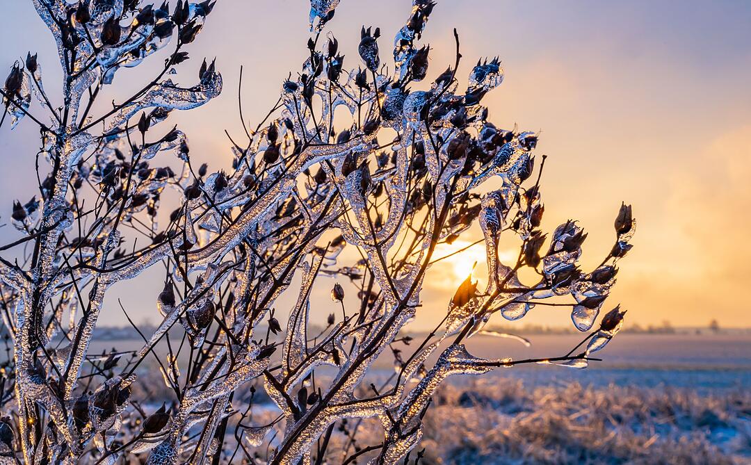 Winterwetter in Brandenburg