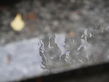 Ein Blick, zwei Perspektiven: Spiegelung auf einer regennassen Treppe. Foto: Ulrike Müller