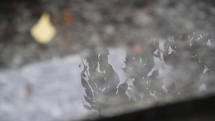 Ein Blick, zwei Perspektiven: Spiegelung auf einer regennassen Treppe. Foto: Ulrike Müller