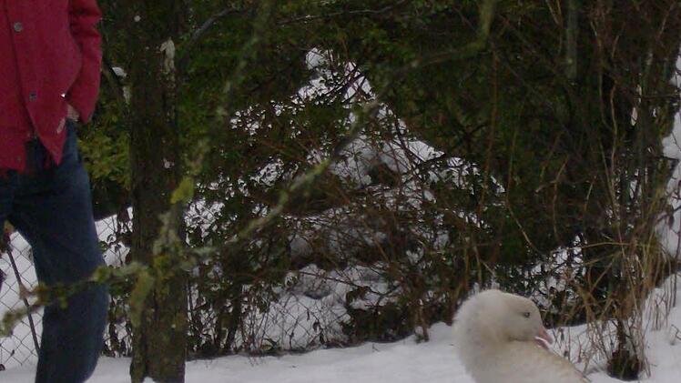 Foto: Petra Malbrich