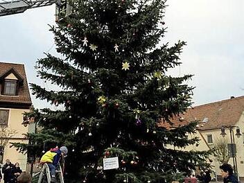 Mithilfe der Drehleiter ging es hinauf zur Baumspitze. Foto: Johanna Blum