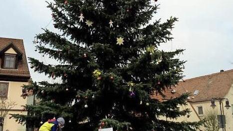 Mithilfe der Drehleiter ging es hinauf zur Baumspitze. Foto: Johanna Blum