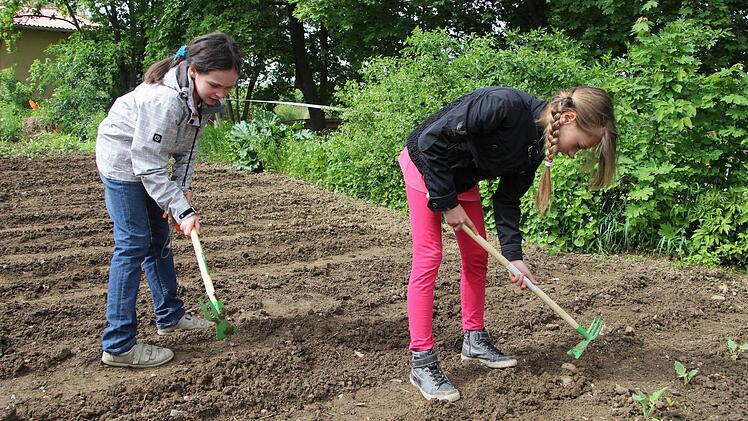 Carolin und Nadja schieben mit der Hacke Erde über die gerade versenkten Kartoffeln. Gartenarbeit kennen sie schon von zu Hause. Fotos: C. Schmitt