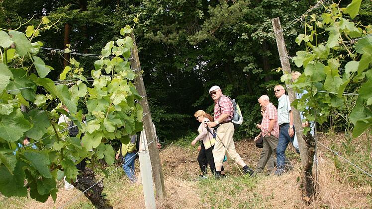 Weinbergwanderung der Saale Zeitung von Wirmsthal nach Wirmsthal 15. Juni 2014