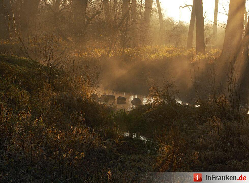 Nebel über Franken