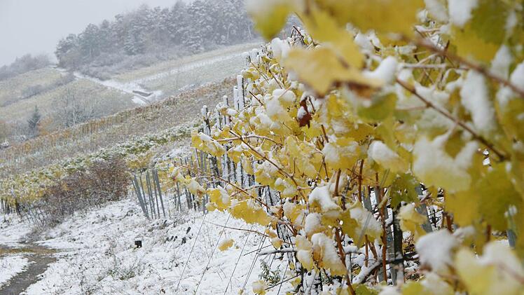 Winter in Wirmsthal. Foto: Arkadius Guzy