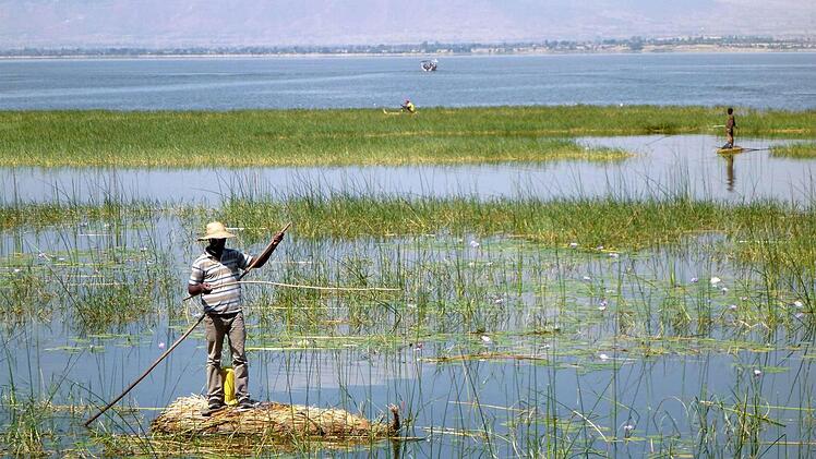 Afrika ist viel grüner als man denkt. Foto: Andi Fießer