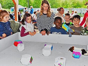 Das Meerschweinchenrennen war eine der Attraktionen am Familiennachmittag, der bei den vielen Kindern und Jugendlichen nat&uuml;rlich f&uuml;r viel Freude sorgte.