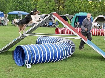 Die schiefe Ebene rauf und runter laufen war für die Hunde kein Problem.   Foto: Evi Seeger