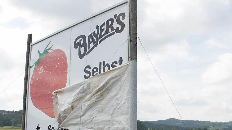 Selber pflücken fällt aus - die Erdbeeren sind noch nicht so weit.