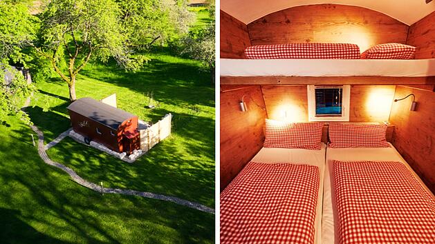 SplitImage 1733930611