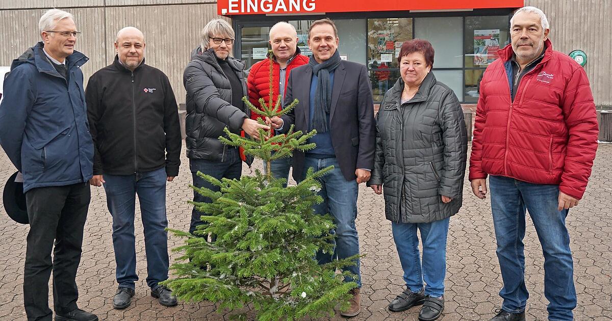 Christbaum zu verschenken