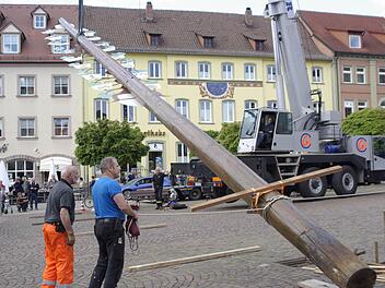 Mit Technik und Muskelkraft richteten die Helfer den 22 Meter hohen Zunftbaum auf,  Foto: Winfried Ehling