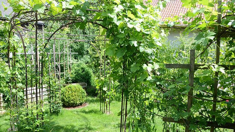 Impressionen aus dem Garten Michaelis in Schirradorf Foto: Dagmar Besand