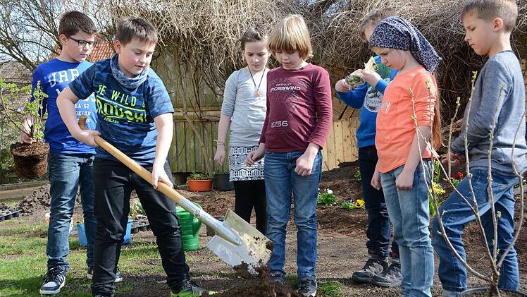 Beerenbeet: Pflanztag mit dem Gartenbauverein Melkendorf Foto: Dagmar Besand